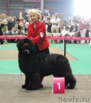 Превью фото № 76557