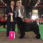 Превью фото № 76592