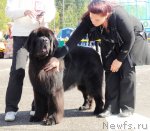 Превью фото № 76802