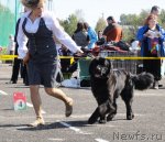 Превью фото № 76804