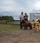 Превью фото № 76969