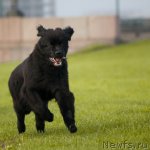 Превью фото № 77322