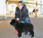 Превью фото № 77330