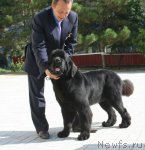 Превью фото № 77516