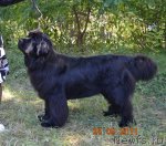 Превью фото № 77805