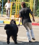 Превью фото № 78201