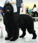 Превью фото № 78274