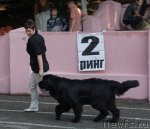 Превью фото № 78340