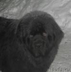 Превью фото № 7897