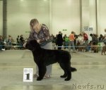 Превью фото № 78983