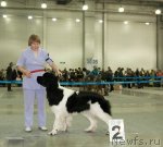 Превью фото № 79026