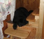 Превью фото № 79253