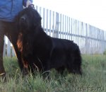 Превью фото № 79447