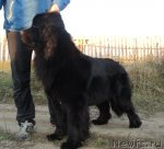 Превью фото № 79449