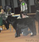 Превью фото № 79703