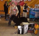 Превью фото № 79709