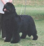 Превью фото № 79874