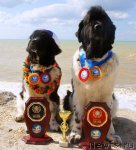 Превью фото № 79891