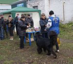 Превью фото № 79976