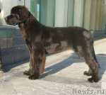 Превью фото № 79991