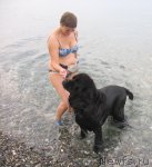 Превью фото № 80108