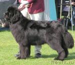 Превью фото № 8011