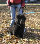 Превью фото № 80521