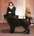 Превью фото № 80554