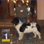 Превью фото № 8070