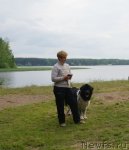 Превью фото № 80829