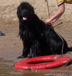 Превью фото № 8109