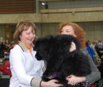 Превью фото № 81154