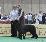 Превью фото № 81249