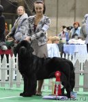 Превью фото № 81254