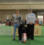 Превью фото № 81400