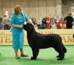 Превью фото № 81502