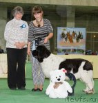 Превью фото № 81547