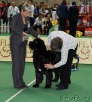 Превью фото № 81558