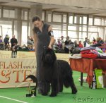 Превью фото № 81633