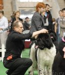 Превью фото № 81667