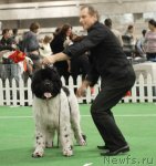 Превью фото № 81683