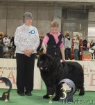 Превью фото № 81694