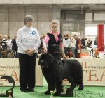 Превью фото № 81695