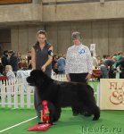 Превью фото № 81699