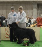 Превью фото № 81702