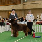 Превью фото № 81706