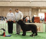 Превью фото № 81710