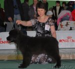 Превью фото № 81853