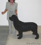 Превью фото № 81869