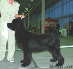 Превью фото № 81872